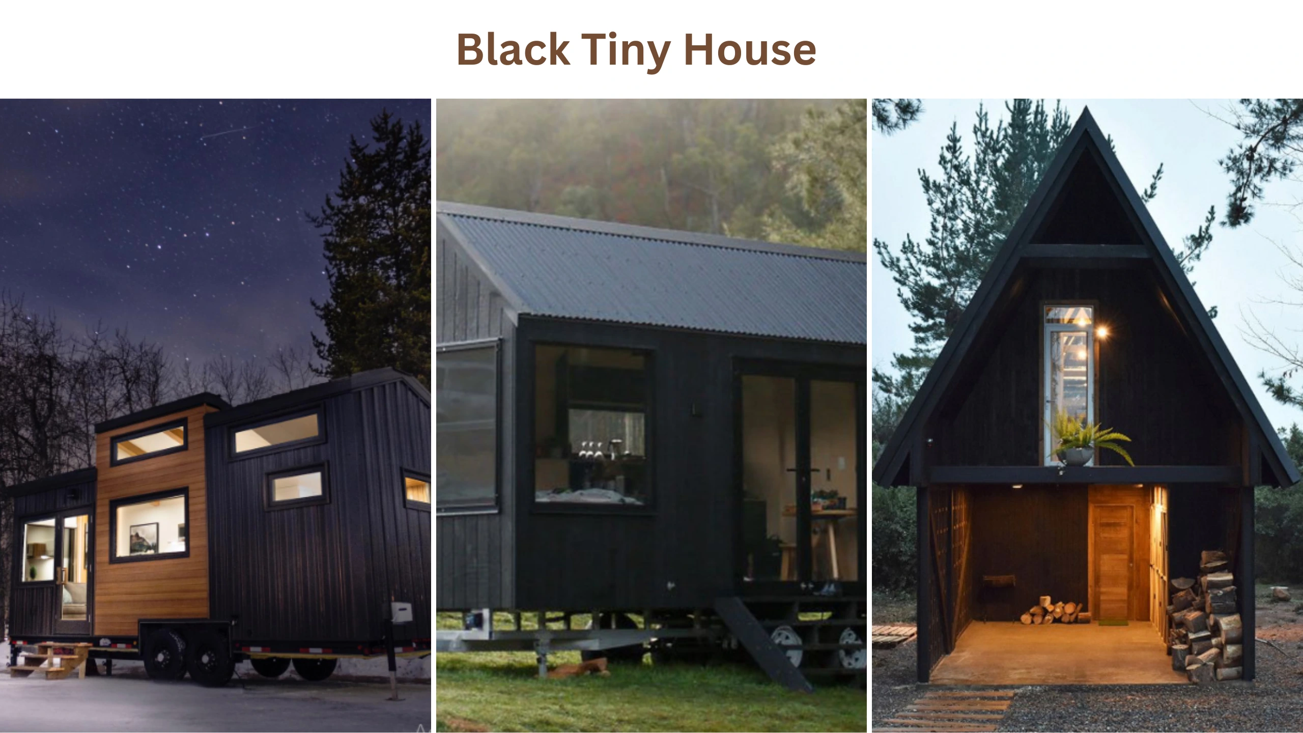 Black tiny house