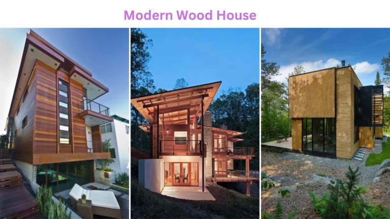 Modern Wood House