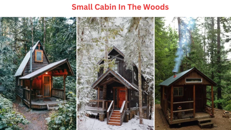 Small Cabin in the Woods