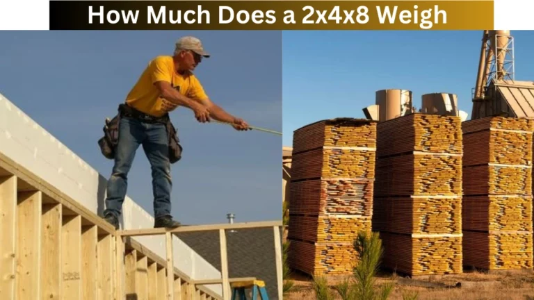 How Much Does a 2x4x8 Weigh